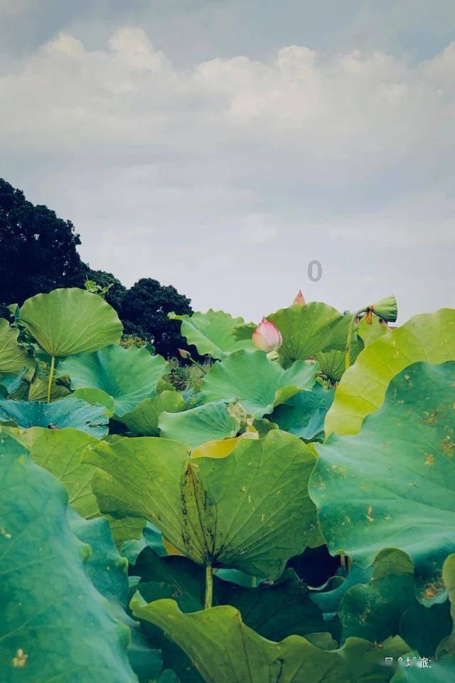 逃离灰色调房屋