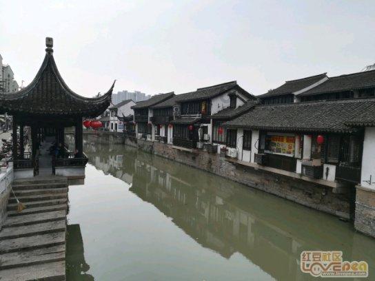 细胞分裂4